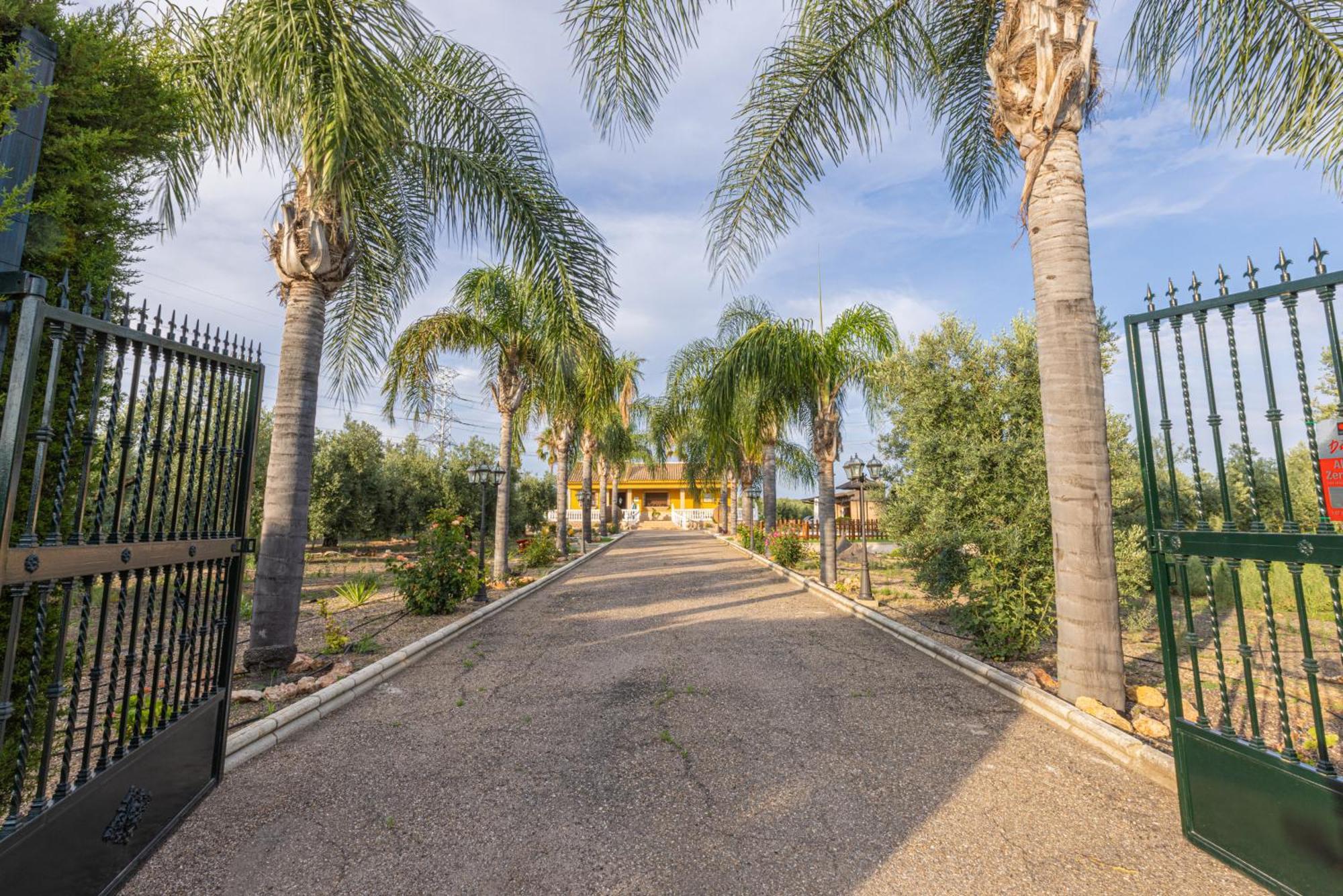 הוילה Hinojos Casa Rural En El Entorno De Donana מראה חיצוני תמונה